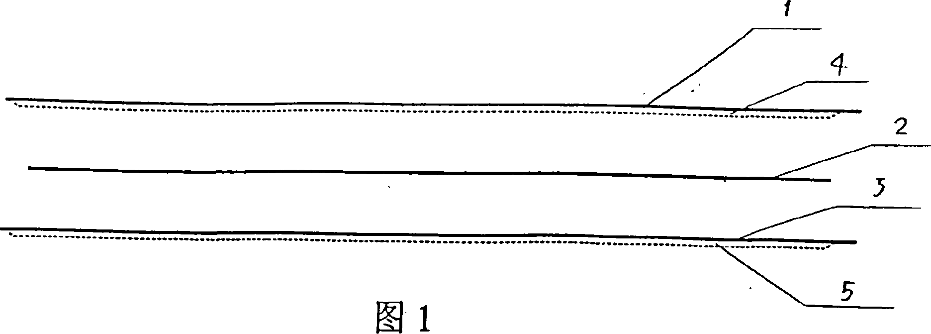 Exposal type anti-fake tag and its production process