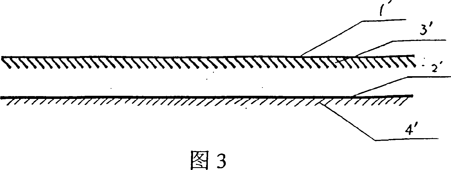 Exposal type anti-fake tag and its production process