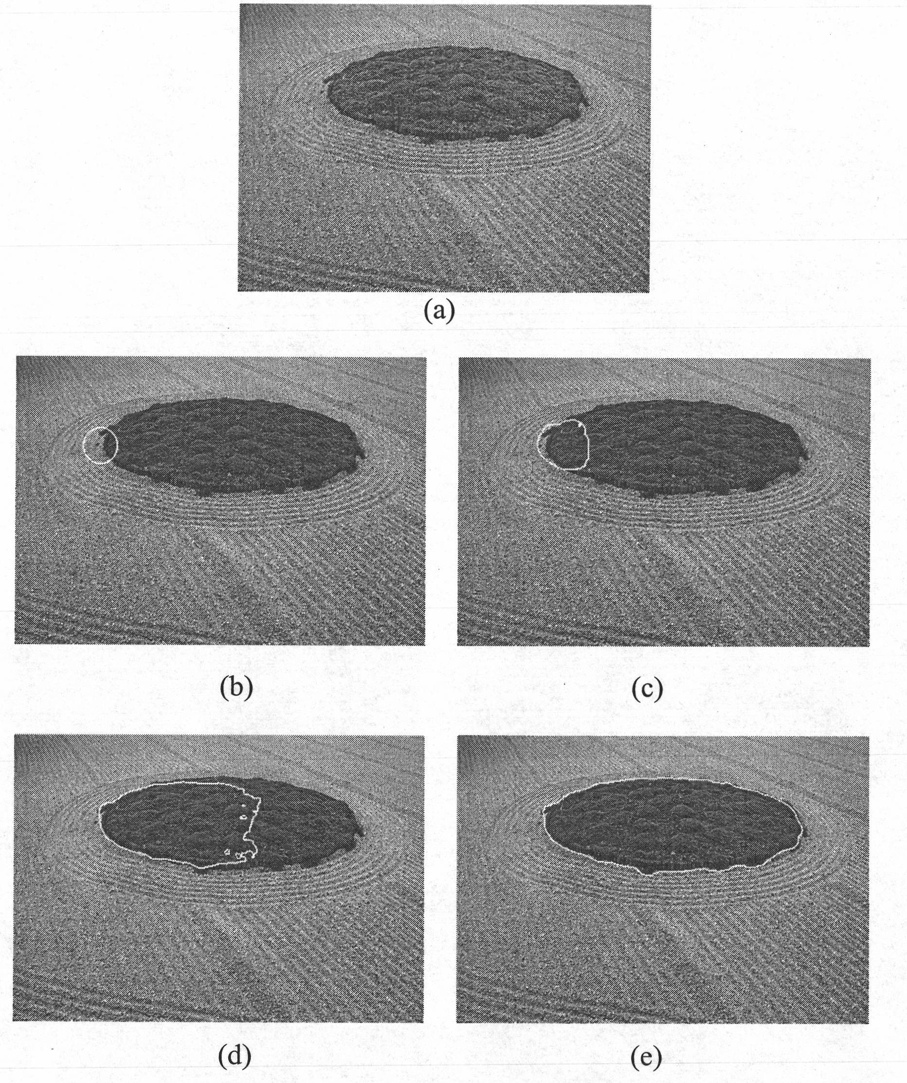 Method for dividing level set image based on characteristics of neighborhood probability density function