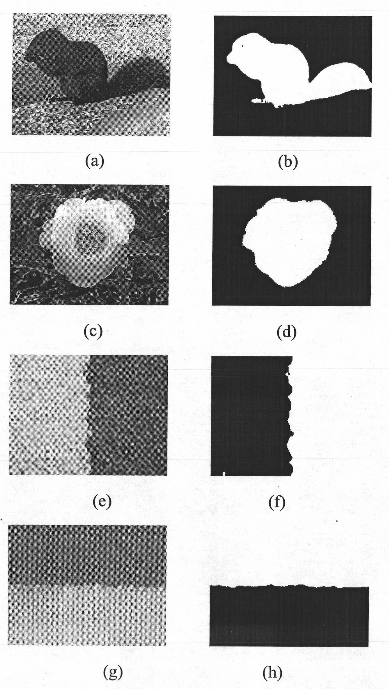 Method for dividing level set image based on characteristics of neighborhood probability density function