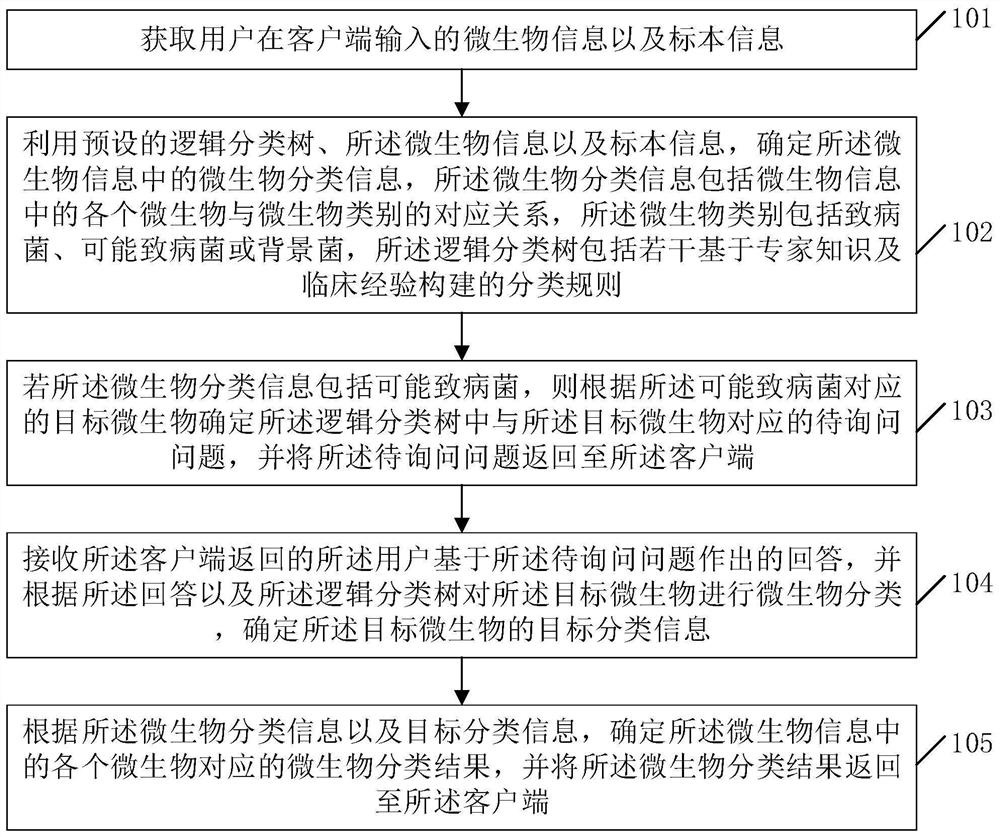 Microbial information interpretation method and device, equipment and storage medium