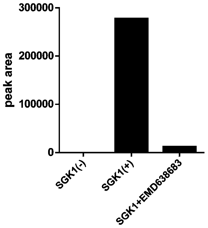 Application of mass spectrometry probe in SGK1 (serum glucocorticoid-ind ucible kinase 1) protein activity detection