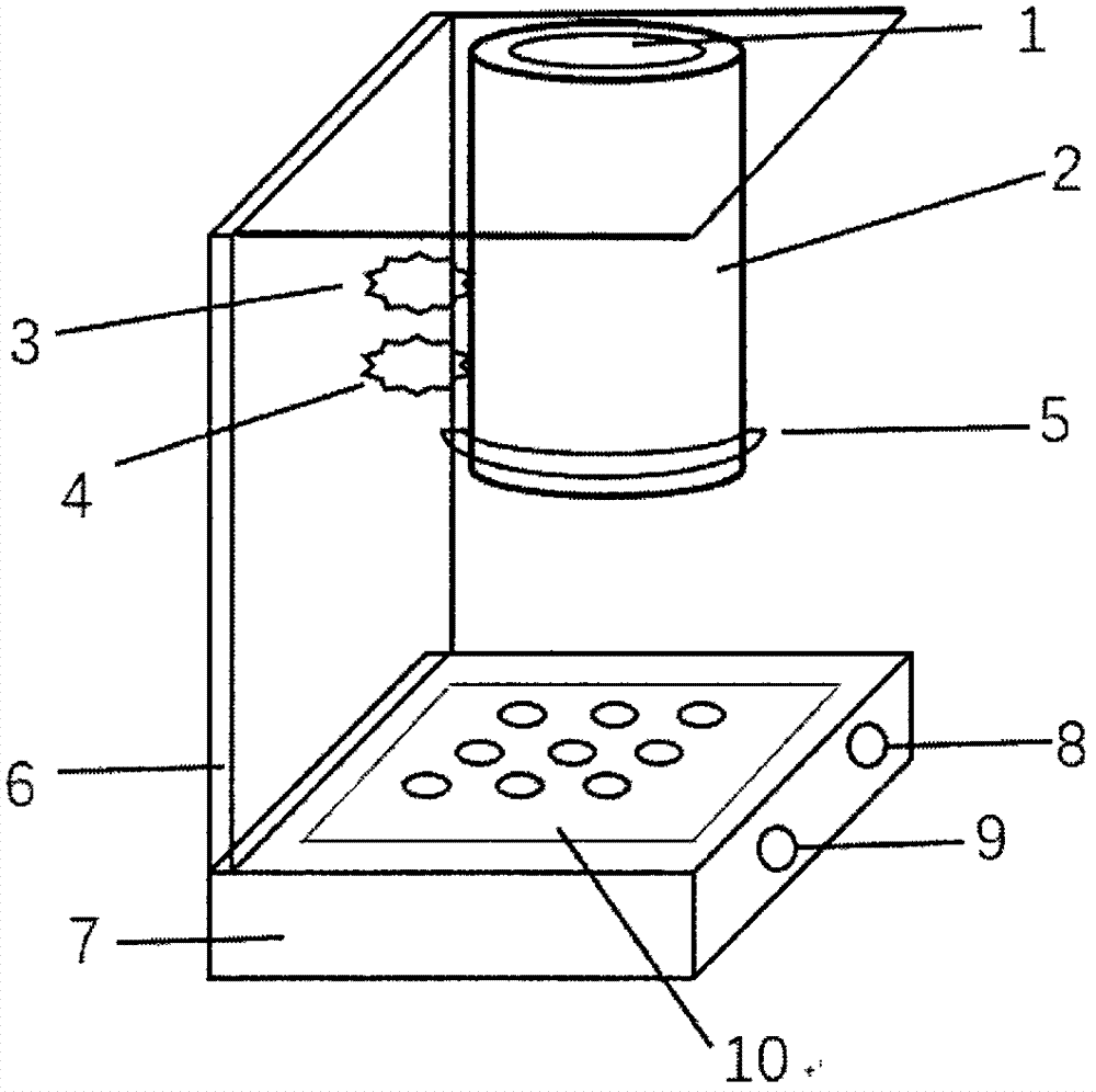 Portable hand vein observation instrument