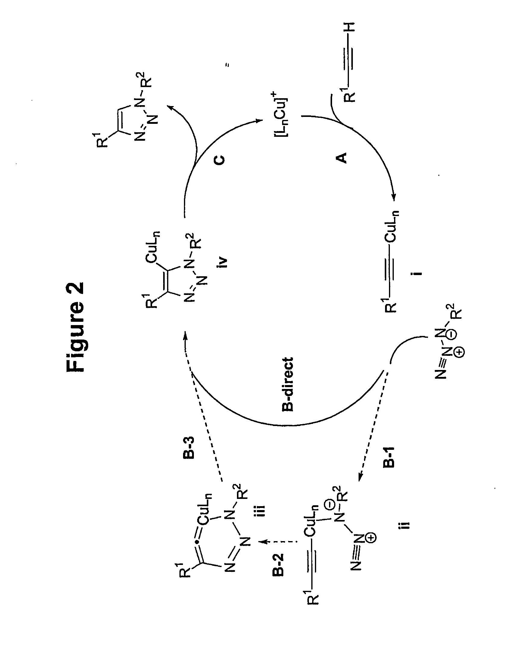 Copper-catalysed ligation of azides and acetylenes