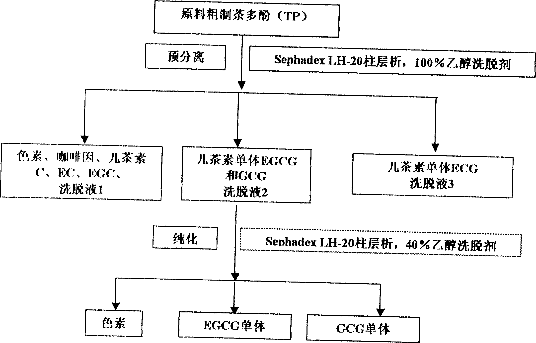 Separation purification method of catechin monomer