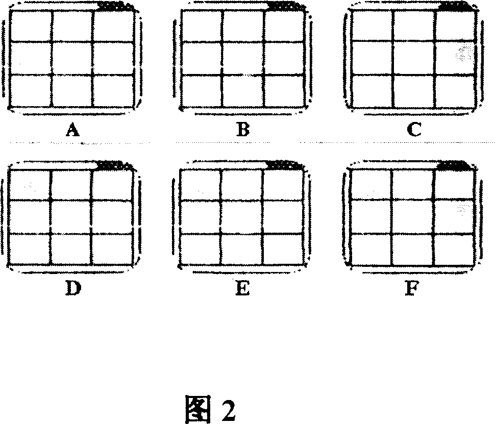 Detection method of hepatitis B virus genome drug resistance mutation