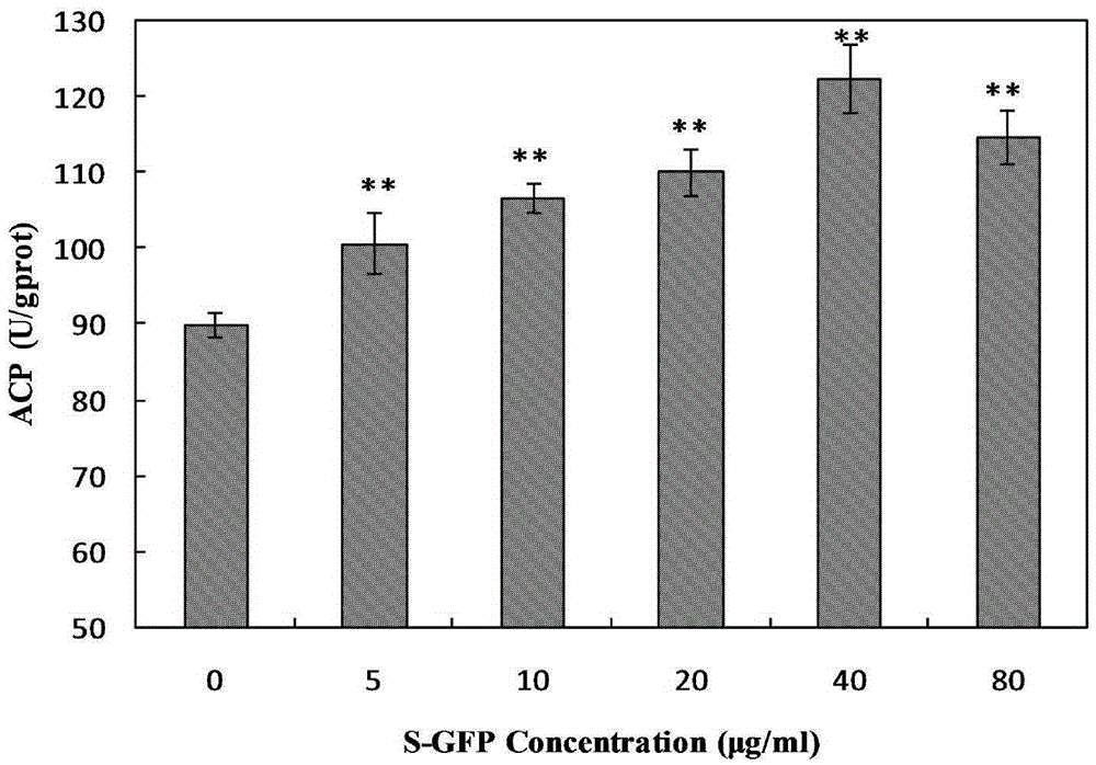 Sulphating grifola frondosa insoluble polysaccharide and application