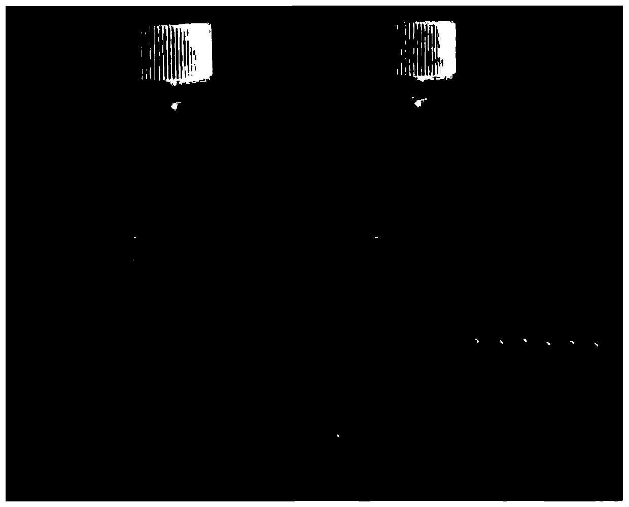 Transition metal nano oxidase, preparation method, water treatment device and application