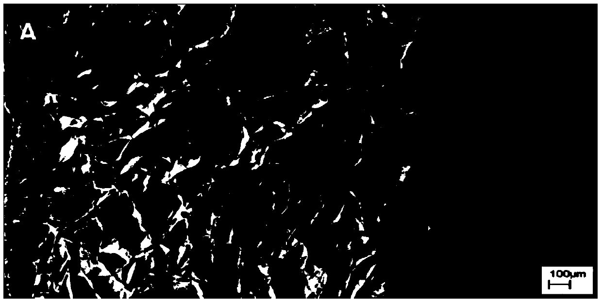 Application of Dodecyl Chitosan in Preparation of Hemostatic Dressing