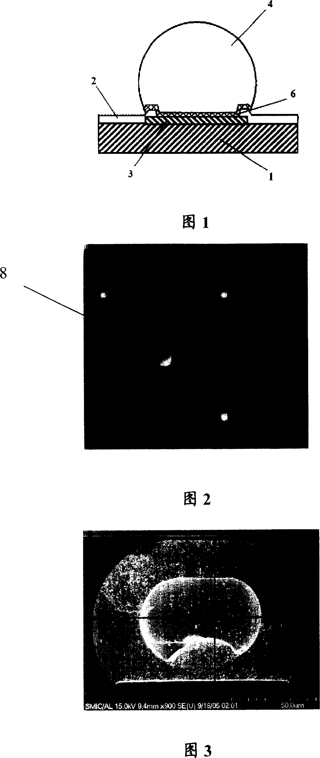 Method for making lead and tin alloy protruding point