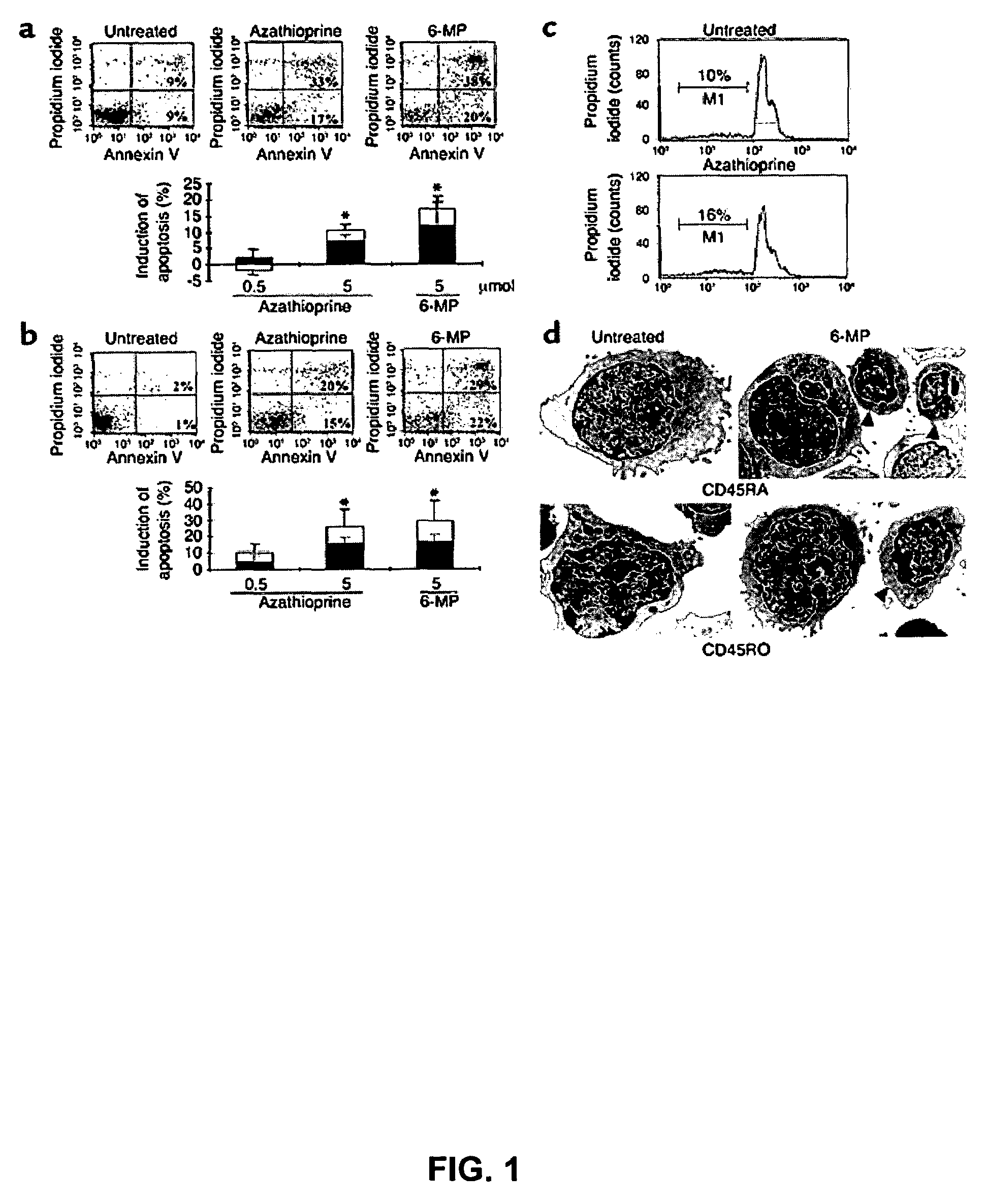 Diagnostic methods for therapeutic compounds and methods for monitoring azathioprine therapy