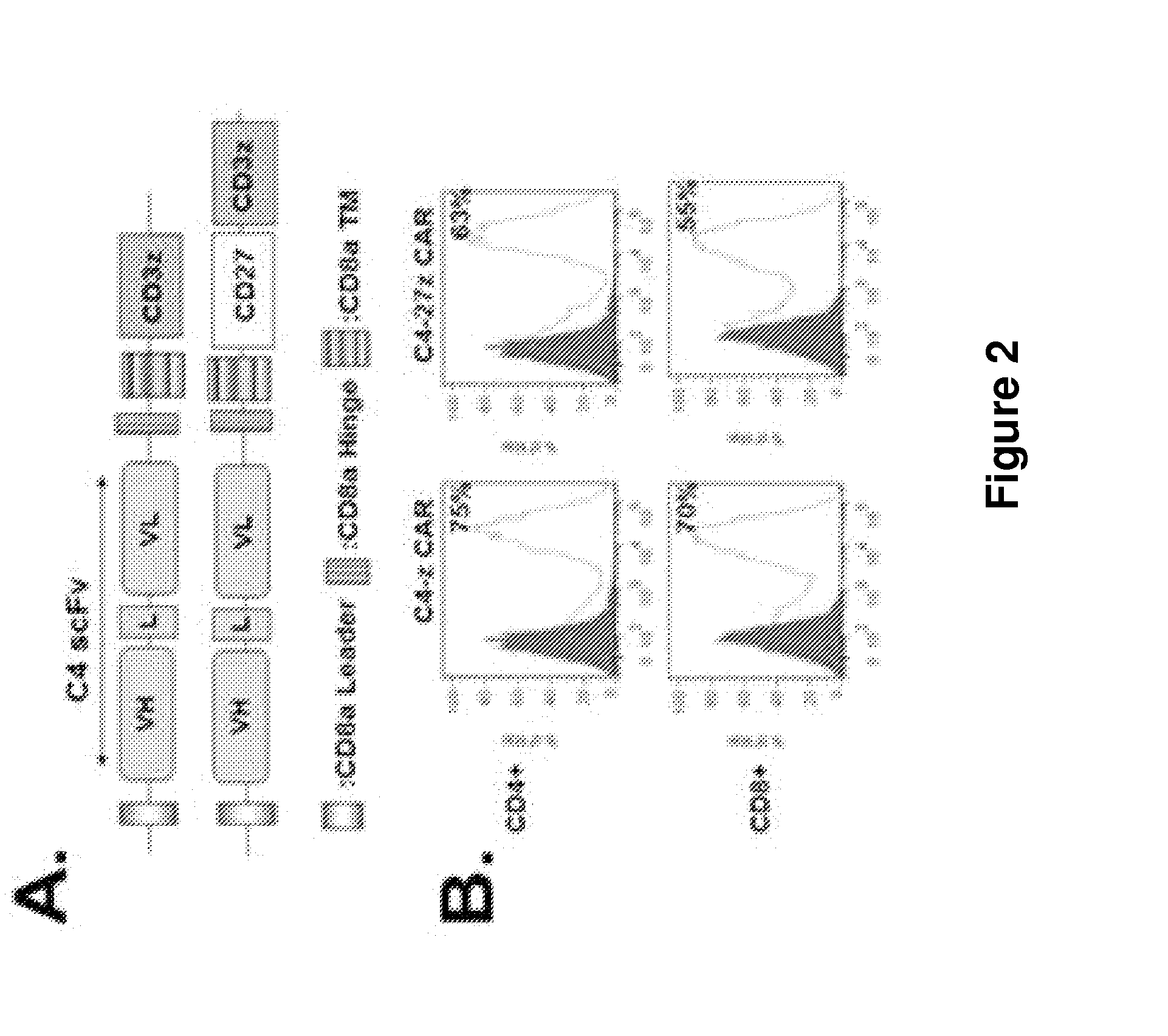 Human alpha-folate receptor chimeric antigen receptor