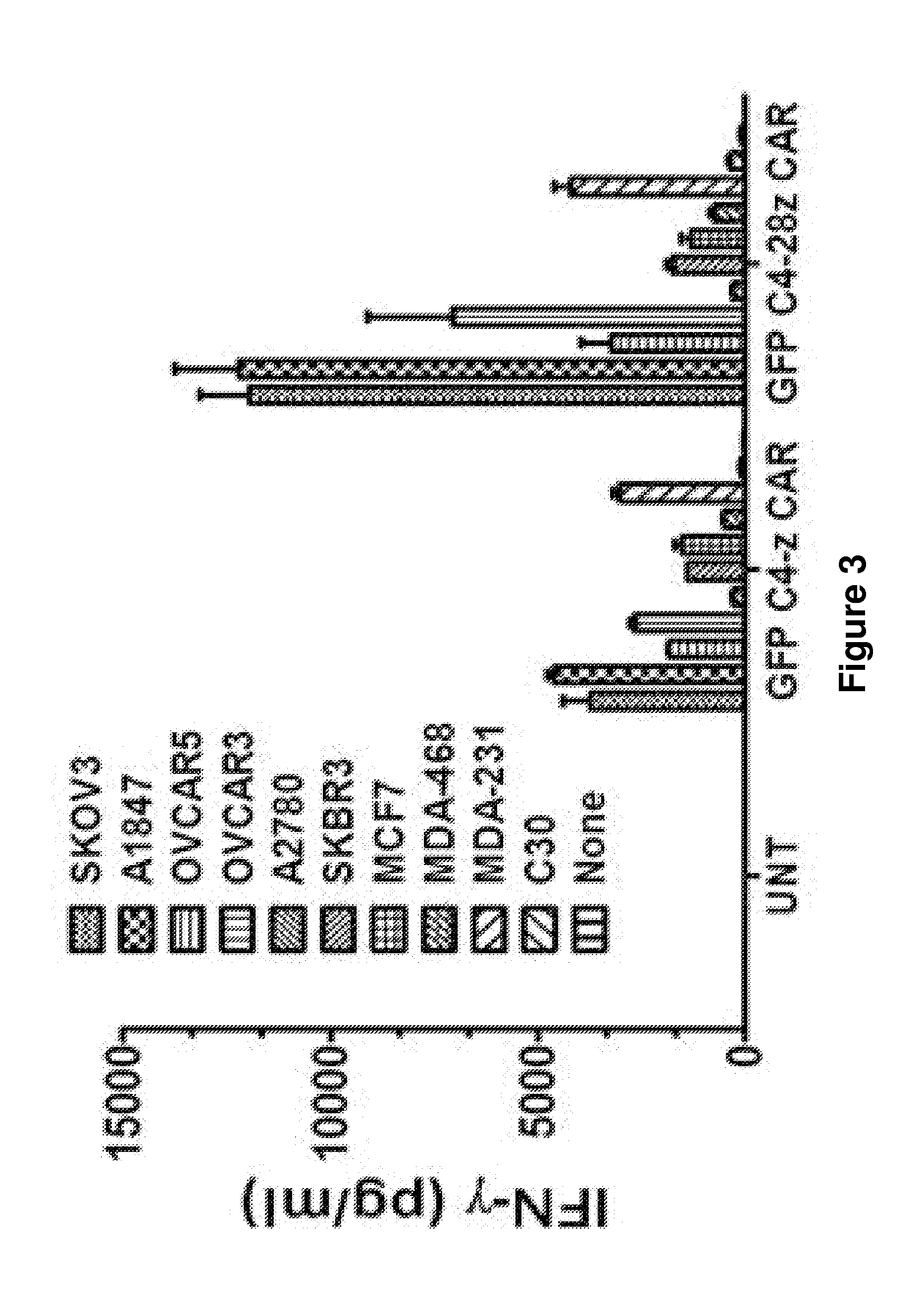 Human alpha-folate receptor chimeric antigen receptor