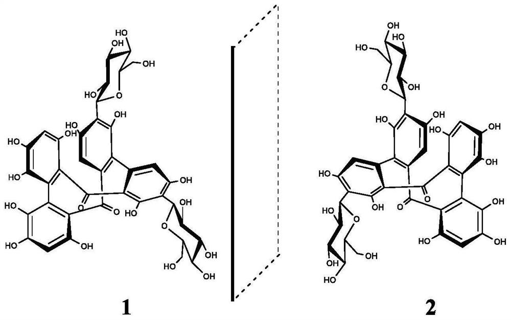 Benzophenone dimer compound and application thereof