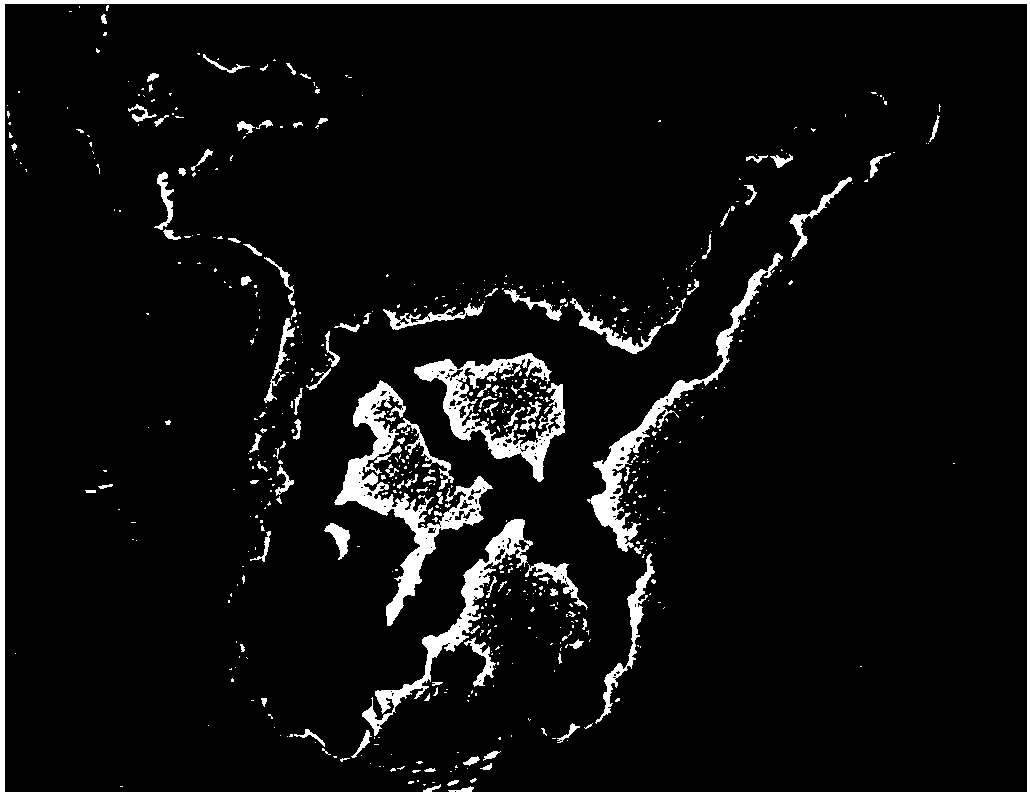 Preparation method of multi-walled carbon nanotube/nanoscale bimetallic zero-valent iron composite material