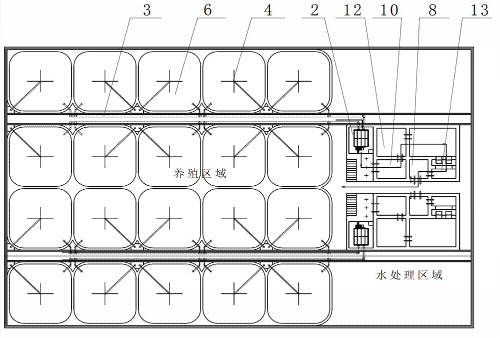 Algae factorization circulating aquaculture system