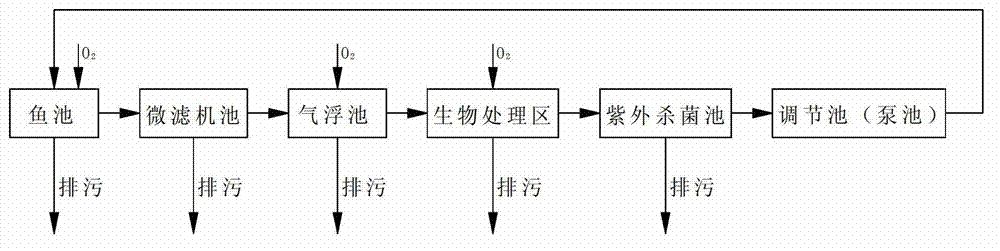 Algae factorization circulating aquaculture system