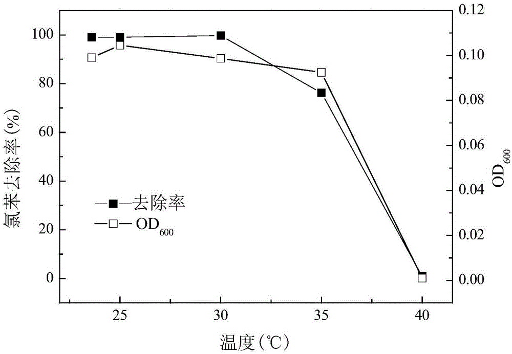 Delftia tsuruhatensis LW26 and application thereof in chlorobenzene degradation