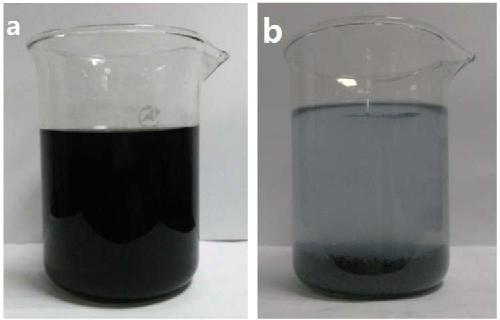 A kind of preparation method of bamboo pulp cellulose & poly n-vinyl formamide composite flocculation decolorization material