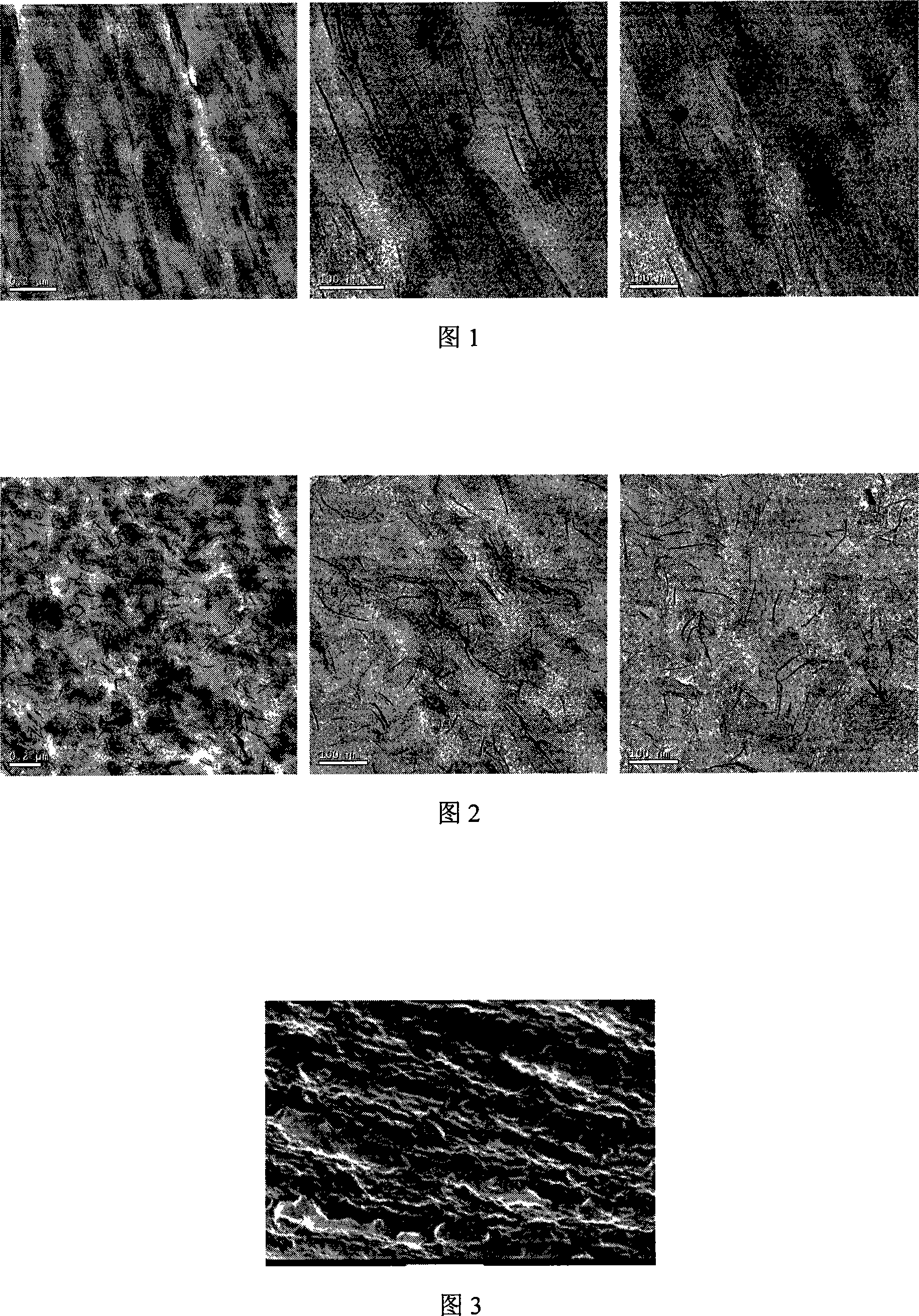 Montmorillonite layered nylon6/montmorillonite nano composite material and preparation thereof