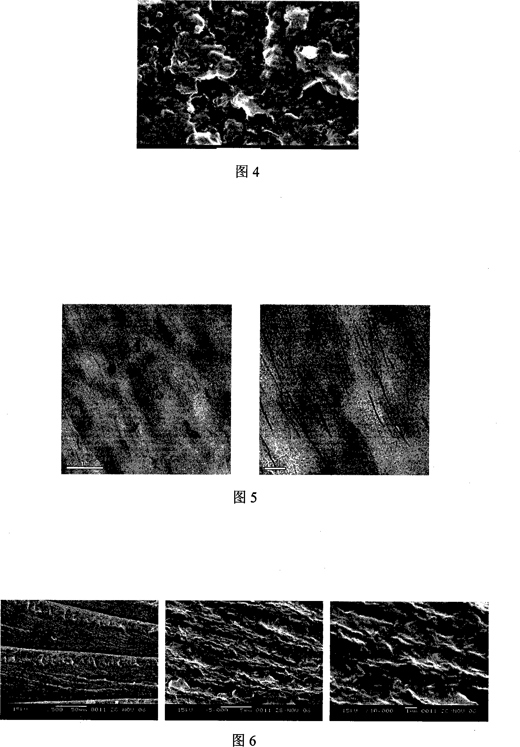 Montmorillonite layered nylon6/montmorillonite nano composite material and preparation thereof