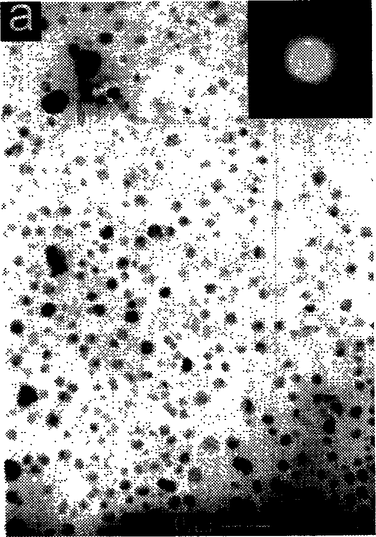 Magnetic nano-balls carried with cisplatin and its prepn. method