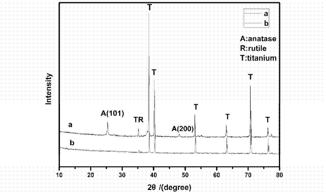 Hydrogen-production and on-line separation device for decomposing water by optical electrolytic cell