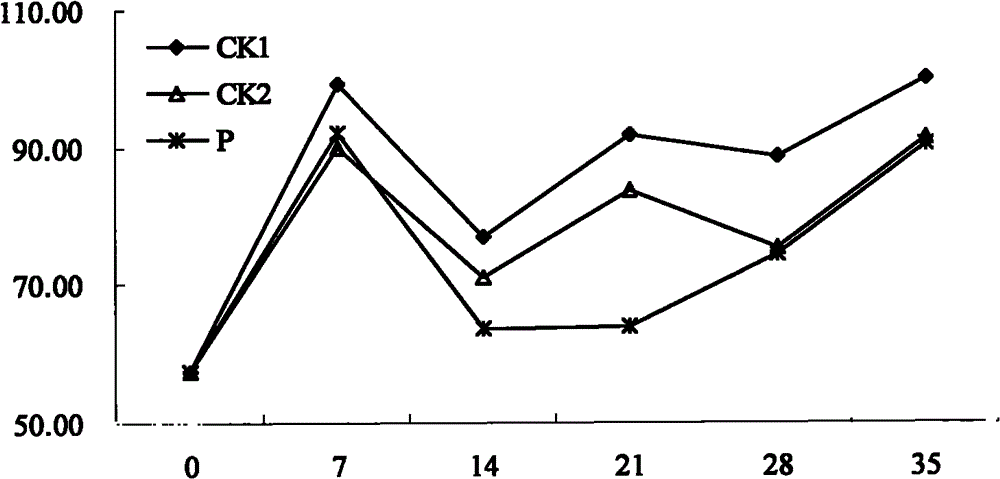 Natural preservative for nectarine and application thereof