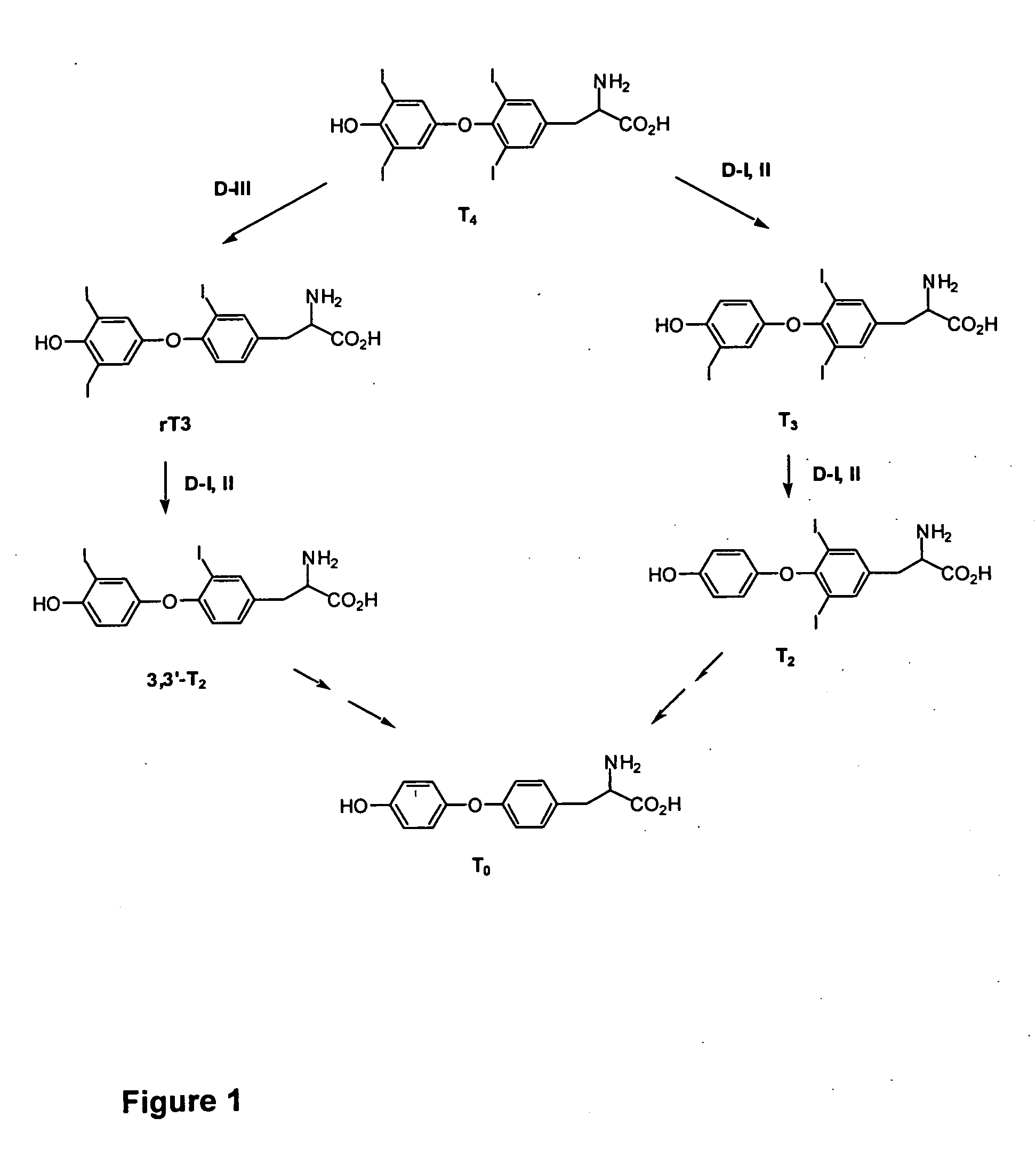 Thyronamine derivatives and analogs and methods of use thereof