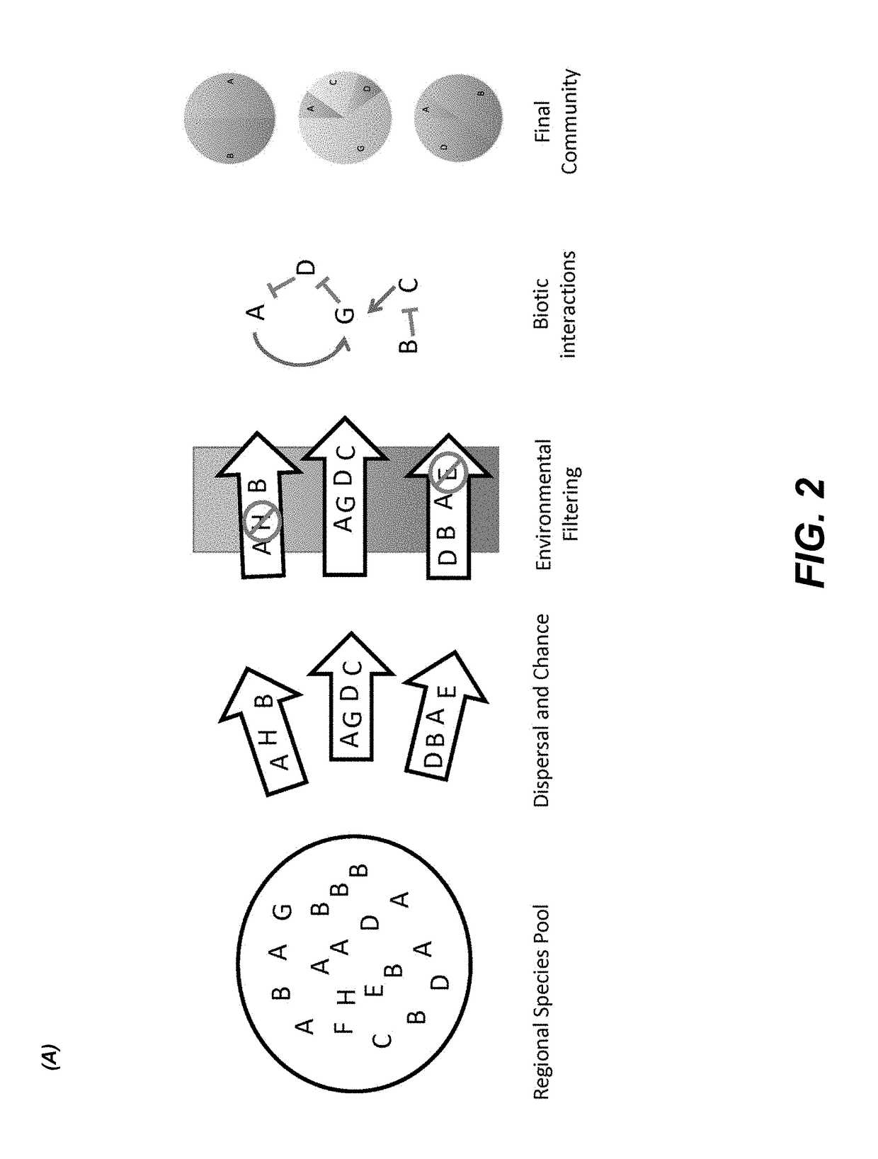 Methods for identifying interactions amongst microorganisms