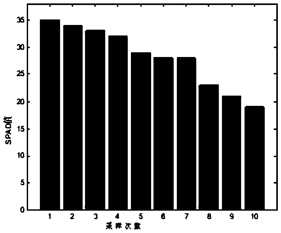 Rice leaf SPAD value estimation method and system based on computer vision