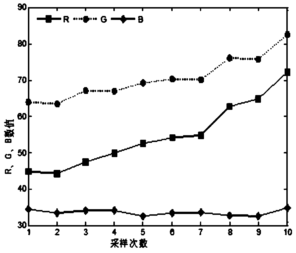 Rice leaf SPAD value estimation method and system based on computer vision