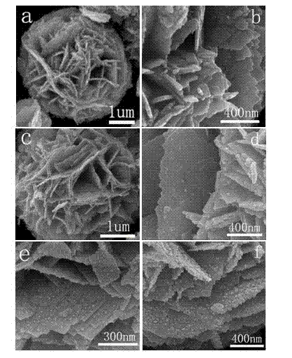 Iron oxide/bismuth tungstate composite photocatalyst, preparation method thereof and application thereof