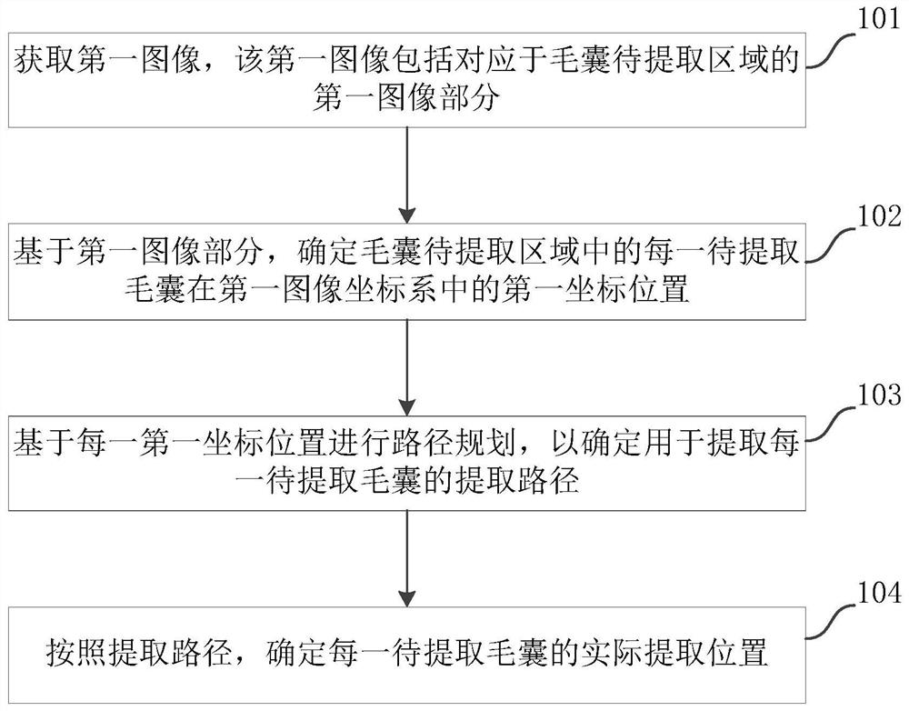 Hair follicle point identification method, system and device and storage medium