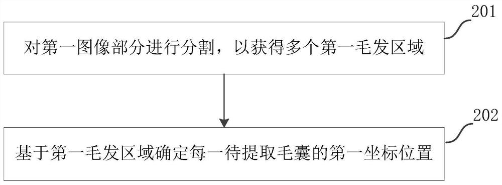 Hair follicle point identification method, system and device and storage medium