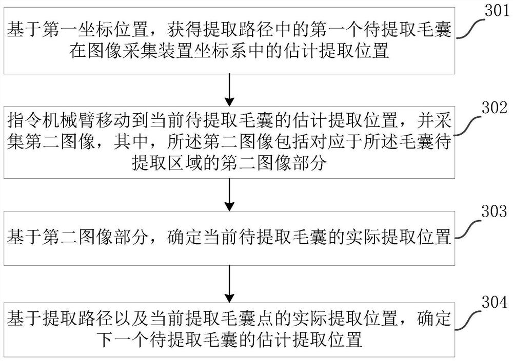 Hair follicle point identification method, system and device and storage medium