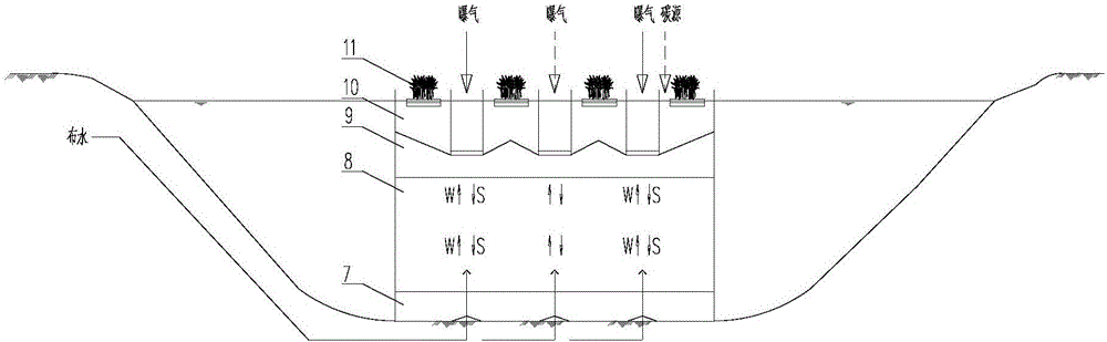 Multi-stage ecological combined wastewater deep treatment system