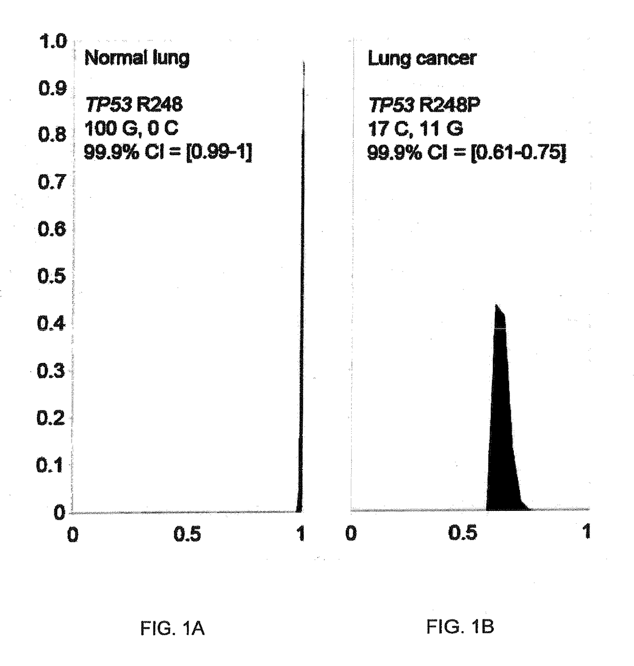 Image recognition system and method