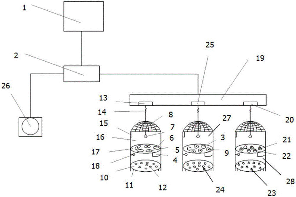 Device for in-situ biological monitoring by using mussels, clams and snails