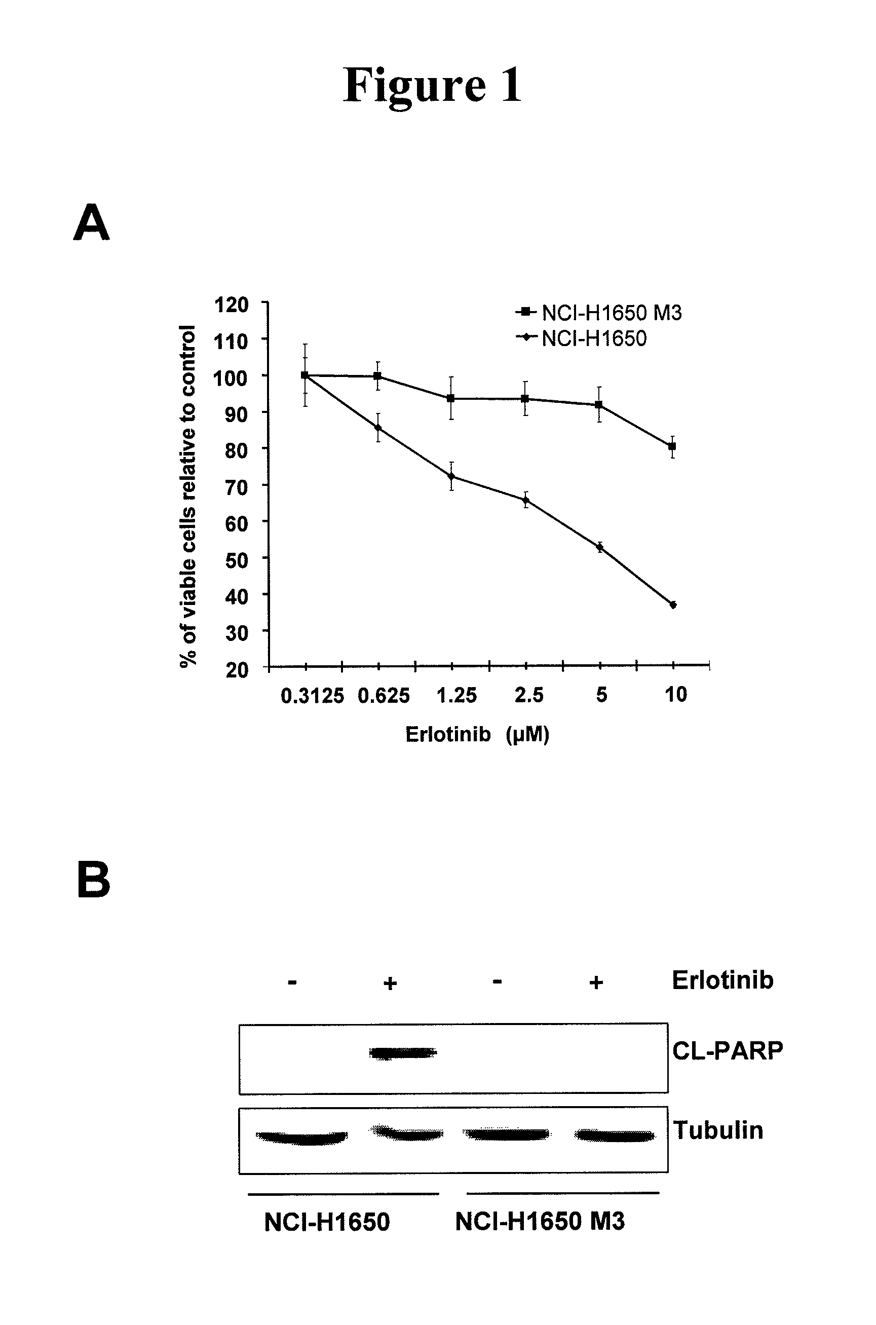 Methods of assessing therapeutic benefits of patients having cancers resistant to epidermal growth factor receptor kinase inhibitors