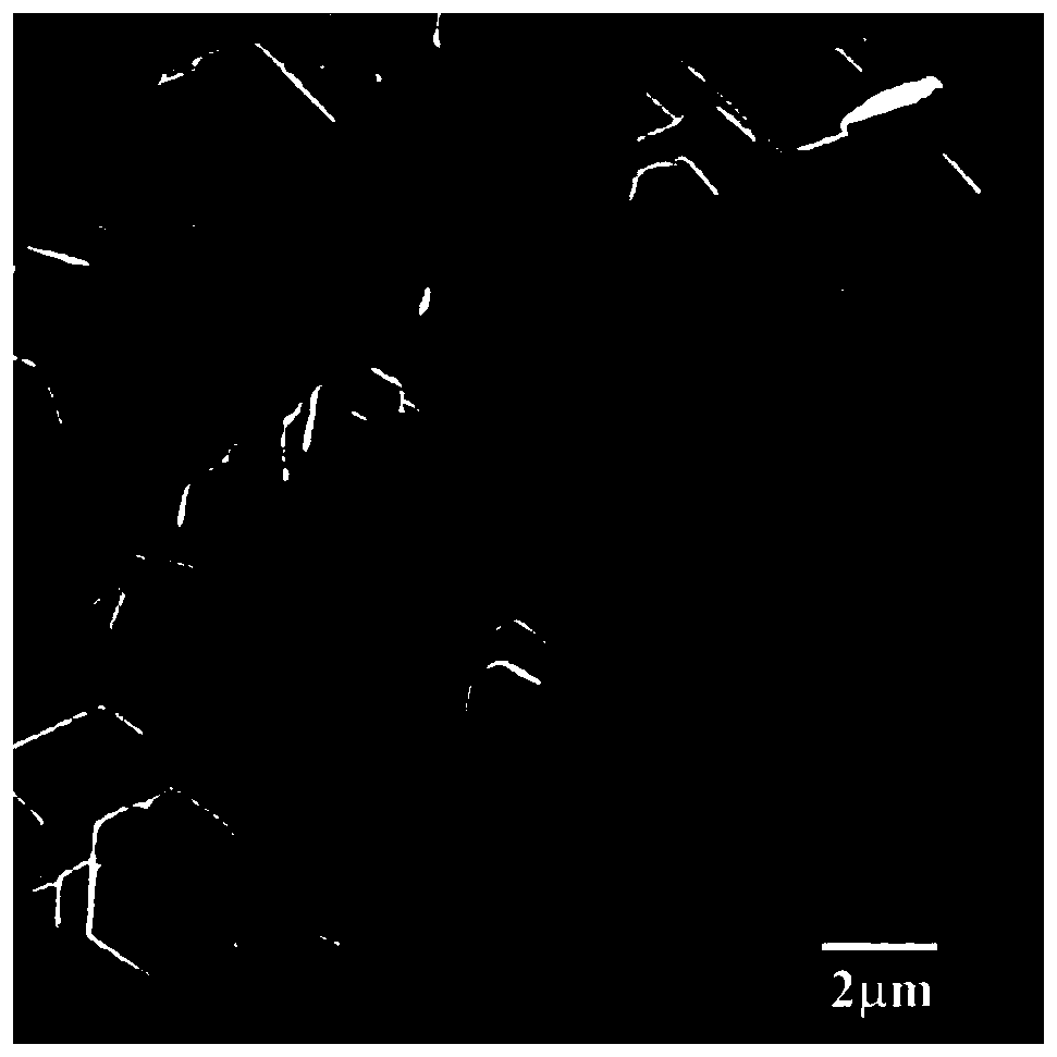 Preparation method of shape-controllable magnesium hydroxide with low specific surface area