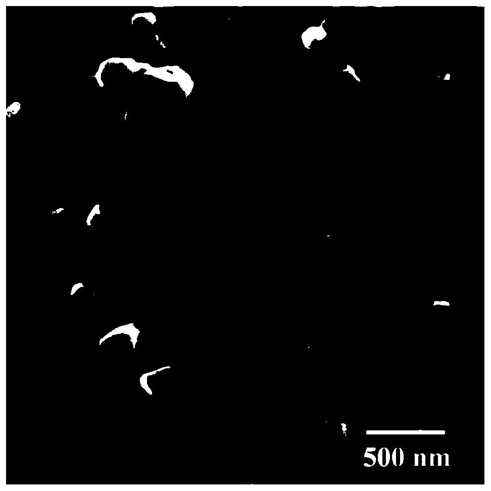 Preparation method of shape-controllable magnesium hydroxide with low specific surface area