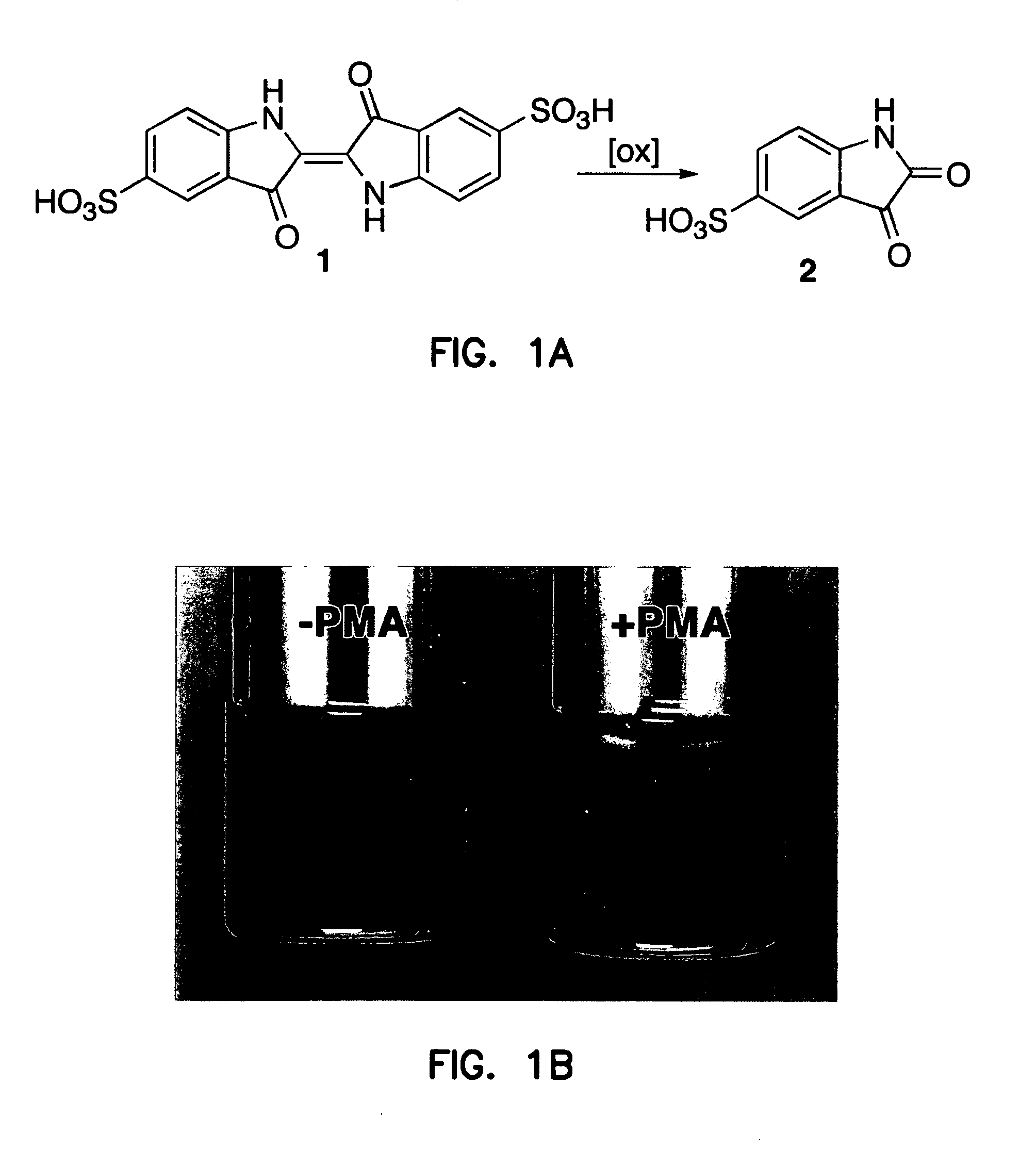 Detection of cholesterol ozonation products