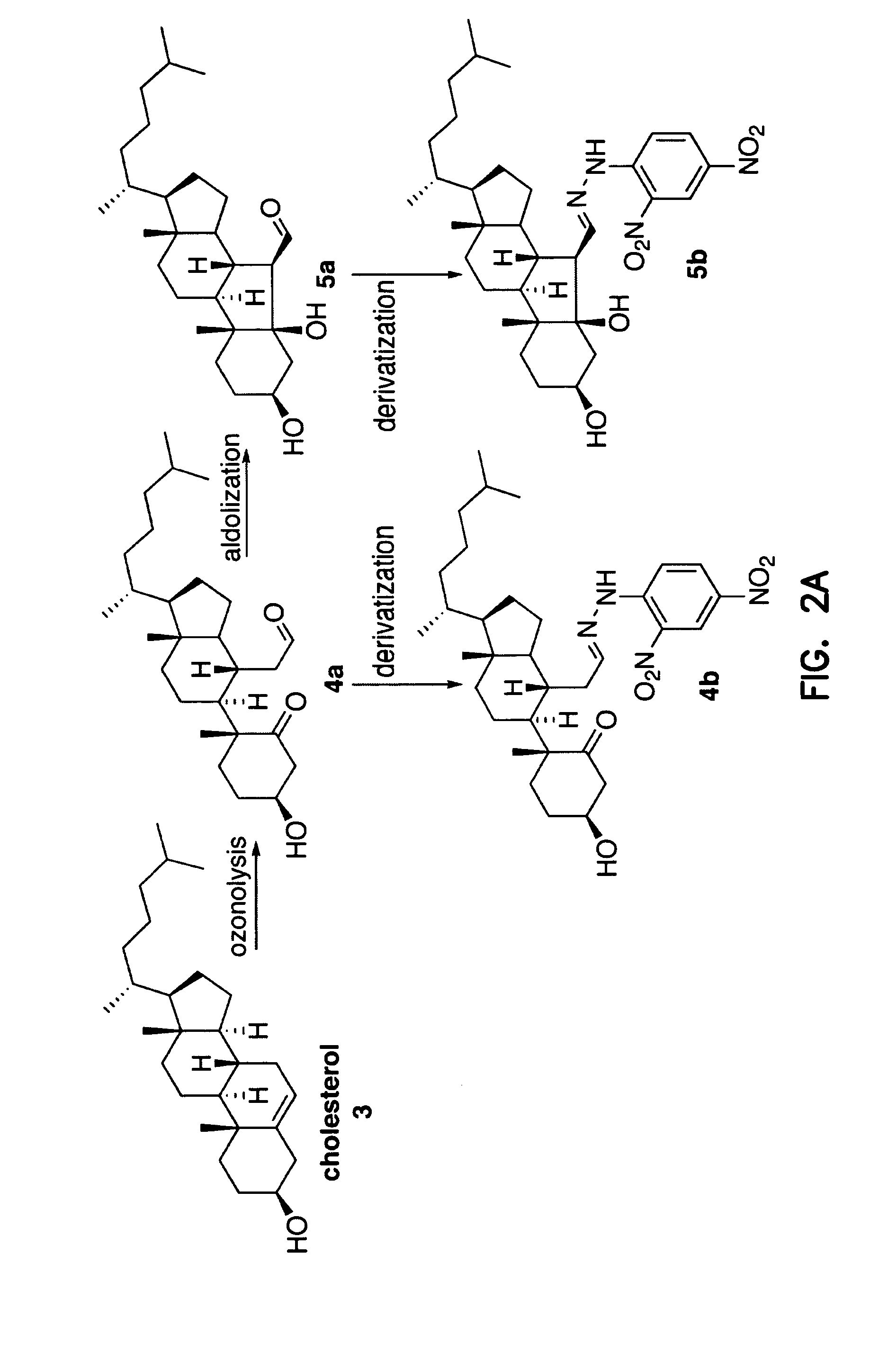 Detection of cholesterol ozonation products