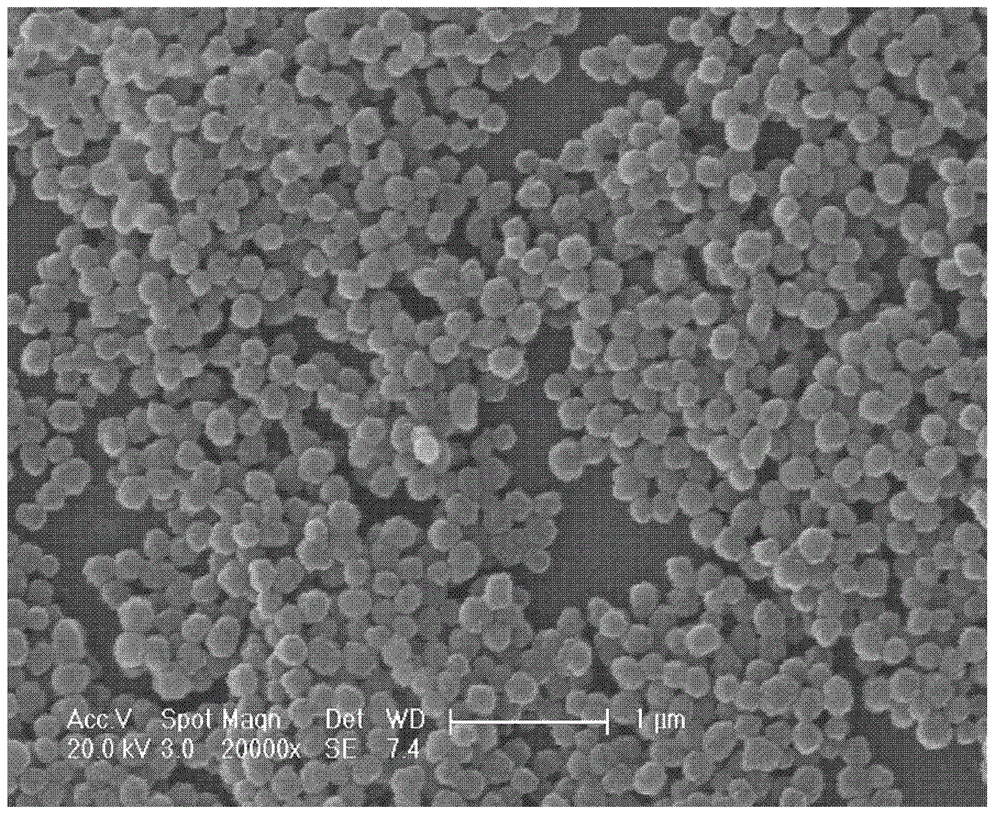 A kind of affinity adsorption biodegradable film and preparation method thereof