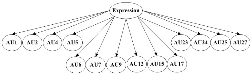 Facial expression bn recognition method based on small data set