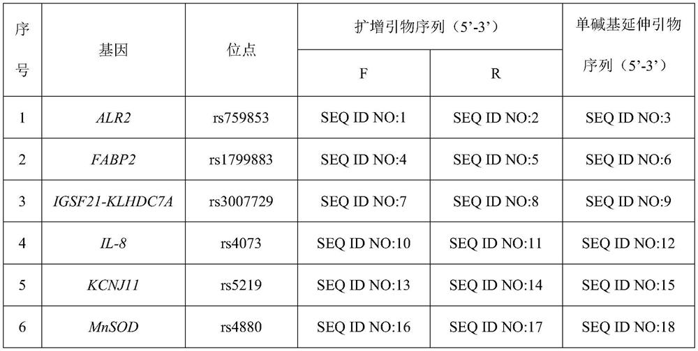 Diabetes microangiopathy gene susceptibility detection kit and group of SNP (Single Nucleotide Polymorphism) sites applied by kit