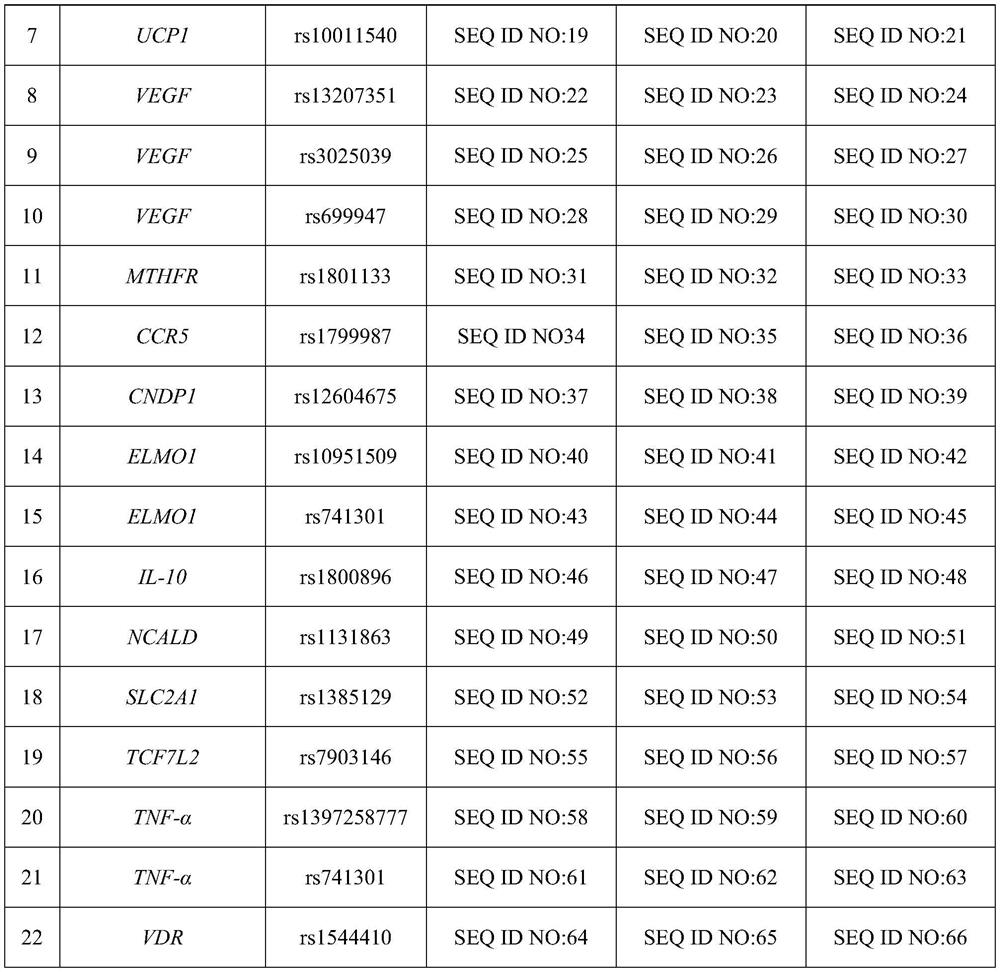 Diabetes microangiopathy gene susceptibility detection kit and group of SNP (Single Nucleotide Polymorphism) sites applied by kit