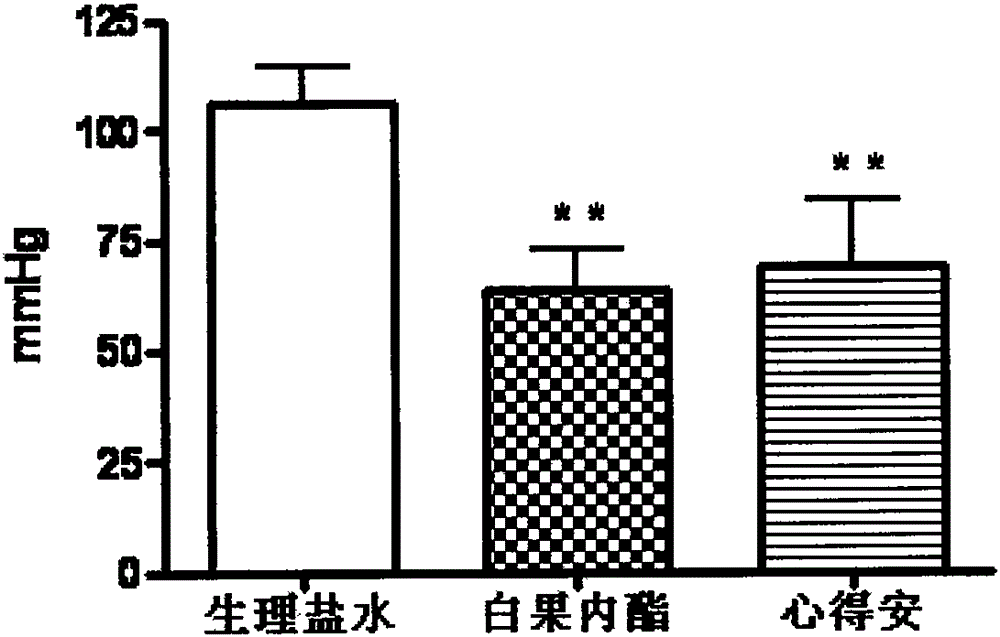 Extraction and separation method of ginkgo active components and application of extracted active substances in drugs for treating cardiovascular and cerebrovascular diseases