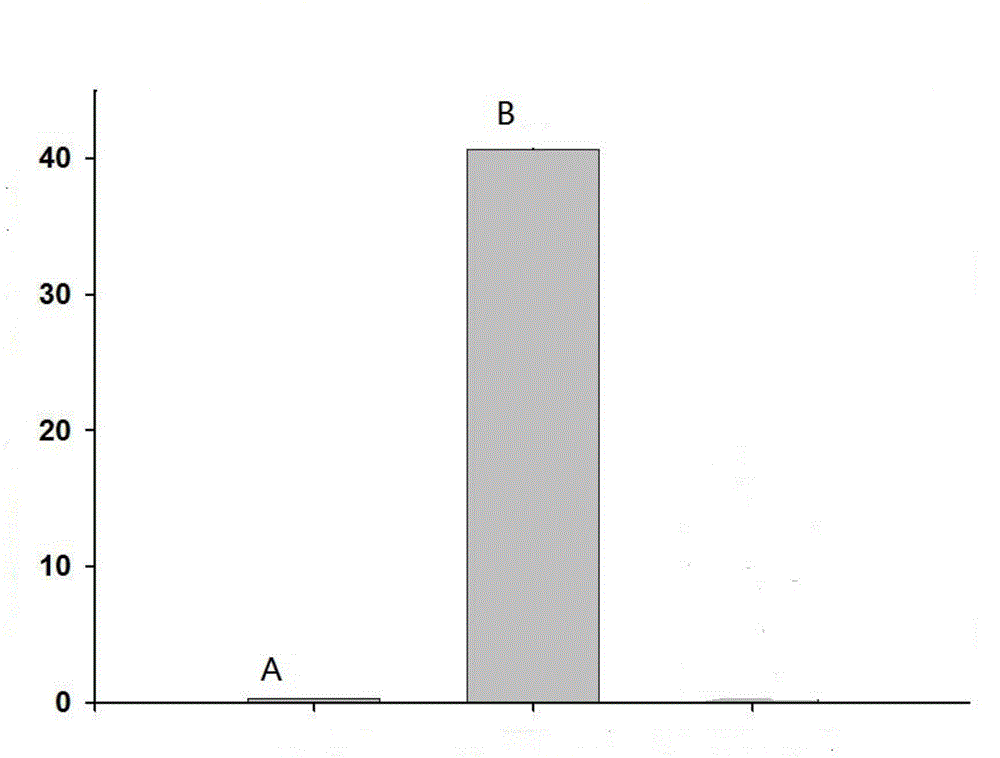 Method for preparing endogenous digitalis factors